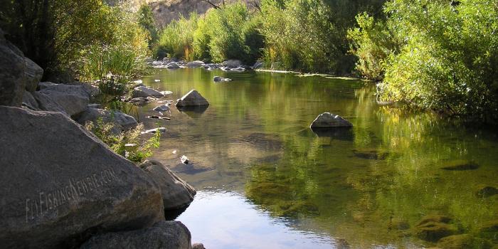 1920x1200 Fly Fishing Desktop Learn how to catch any kind of fish with great