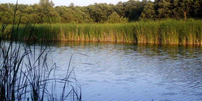 1528x976 Fishing Lake Wallpaper | Amazing Wallpapers