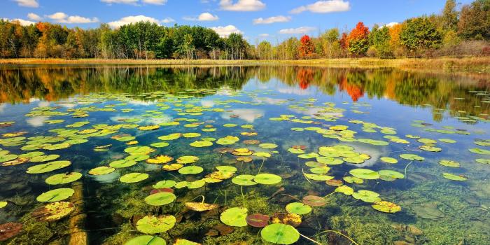 2560x1600 Fishing Wallpapers