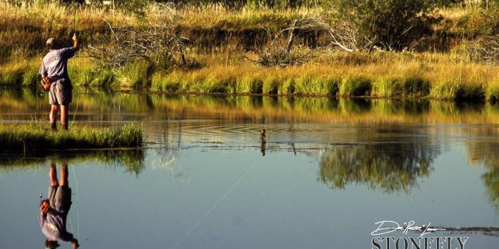 1600x1200 Fishing Desktop Wallpapers - Top Free Fishing Desktop Backgrounds