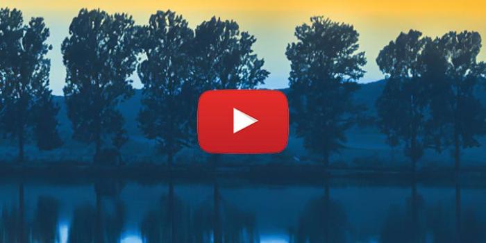 720x1282 0020 - Fishing at night live wallpaper em 2020