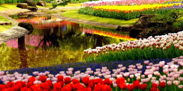 1920x1200 Flower Garden With River - 1920x1200 Wallpaper - Ecopetit.cat
