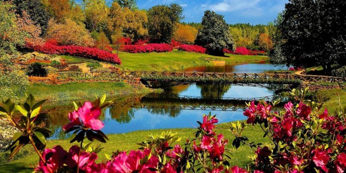 1920x1200 Multicolored River and Flowers HD wallpaper