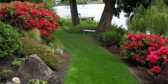 2048x1536 Nature, Landscape Background, Peace, Nature, Stock Images, Plants