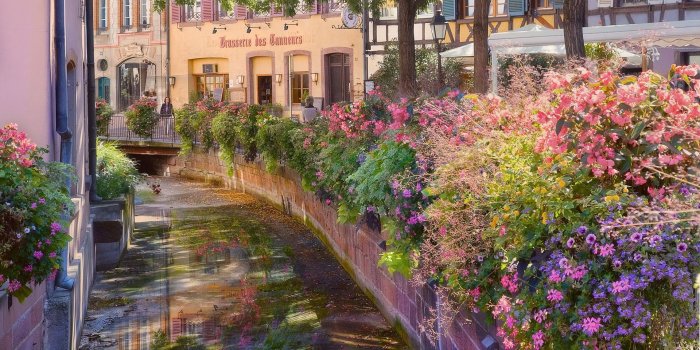 1920x1080 Garden painting, flowers, river HD wallpaper | Wallpaper Flare