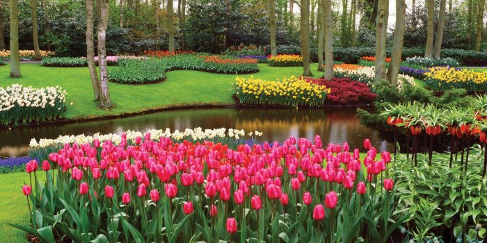 2000x1200 Flower Garden Wallpaper High Resolution