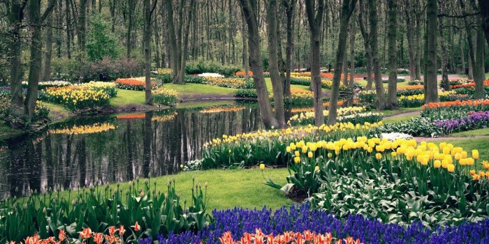 1600x1200 Keukenhof Garden and River Wallpaper – Travel HD Wallpapers