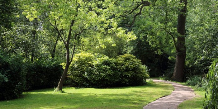 1280x720 Flowers, Landscape, Rivers, Free Background Images, Nature, Flower