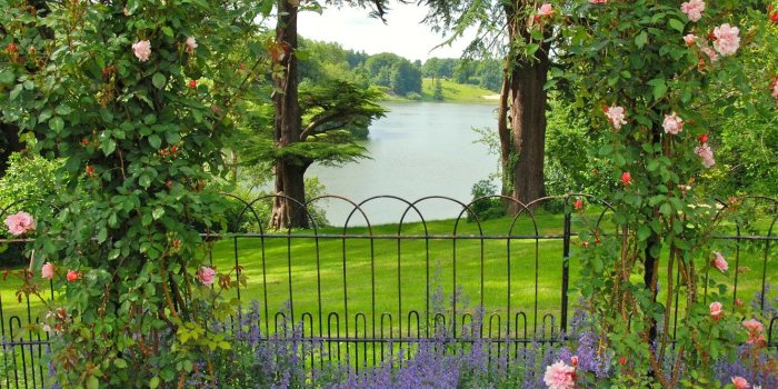 1332x850 Wallpaper flowers, garden, Oxfordshire Gardens, trees, the bushes