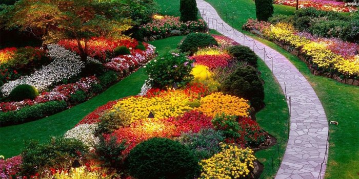 1024x768 Garden Flowers wallpapers - Crazy Frankenstein