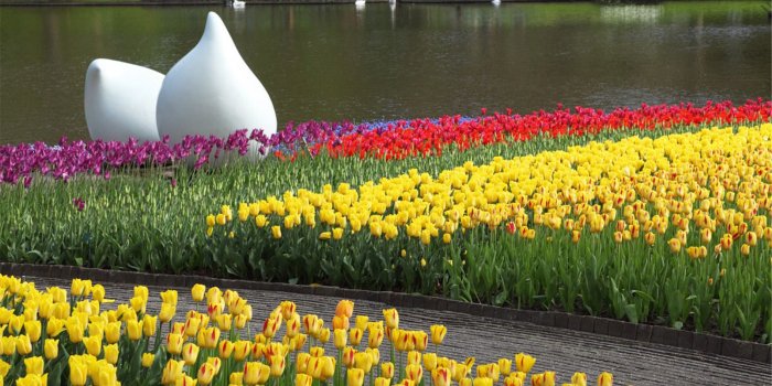 1920x1200 Netherlands – Page 2 – Travel HD Wallpapers