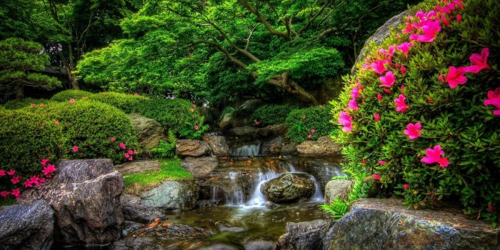 4096x2160 park river flowers 4k ultra hd wallpaper » High quality walls