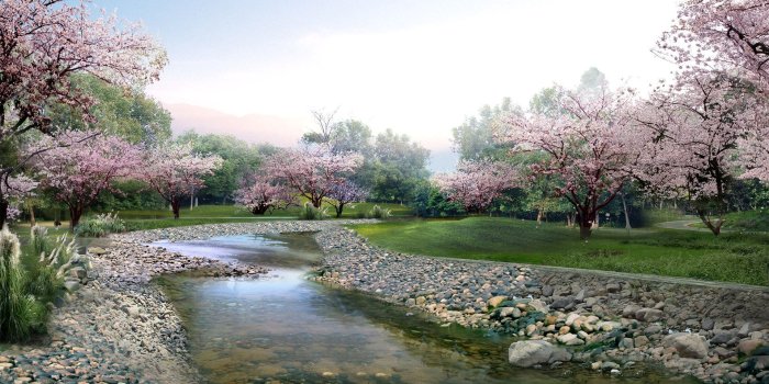 1920x1200 Spring Blossoming Trees by the River HD Wallpaper | Background