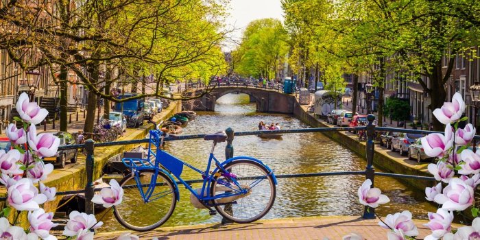 1332x850 Wallpaper spring, river, flowering, buildings, canal, Amsterdam