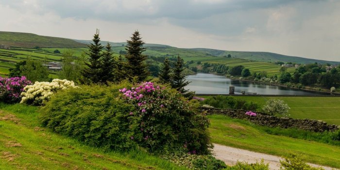 1332x850 Wallpaper road, grass, trees, flowers, river, field, panorama, the
