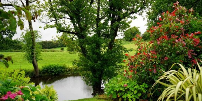 1134x772 Amazon.com : CSFOTO 5x3ft Background for Beautiful Spring Nature