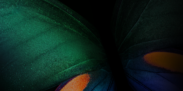 1440x2560 Green Butterfly Black Background - 1440x2560 Wallpaper - Ecopetit.cat