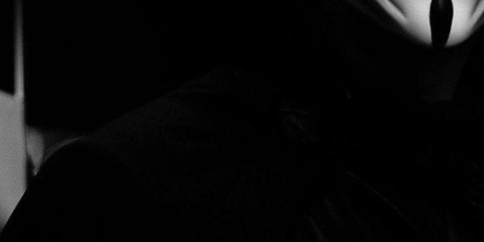 1440x2960 V For Vendetta Mask Wallpapers