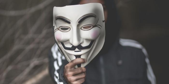 1000x1250 Vendetta Mask Pictures | Download Free Images on Unsplash