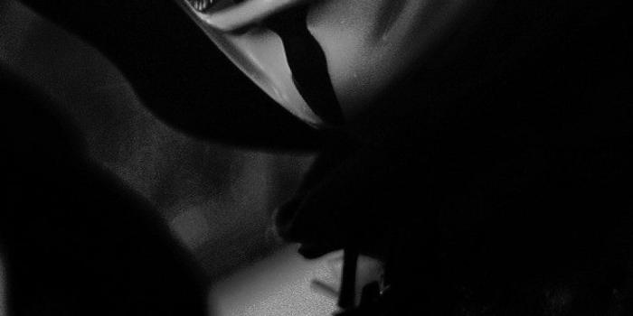 960x1600 Vendetta Legion Masks Mobile Wallpaper - Mobiles Wall