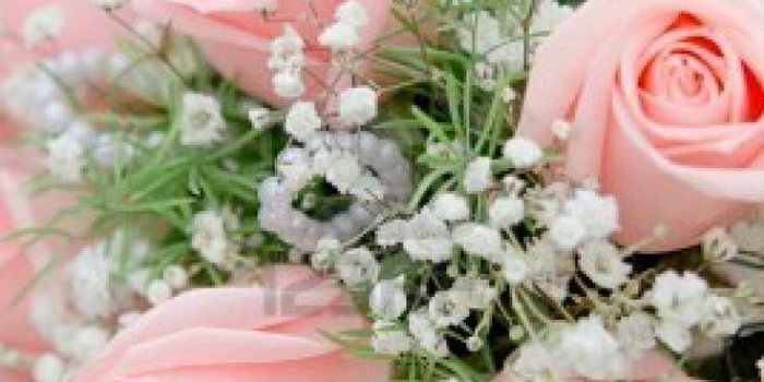 736x1102 Light - Baby's Breath And Pink Roses (#711448) - HD Wallpaper