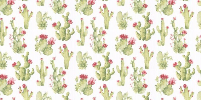 1000x1000 Cactus Flower by Galerie - Green - Wallpaper : Wallpaper Direct