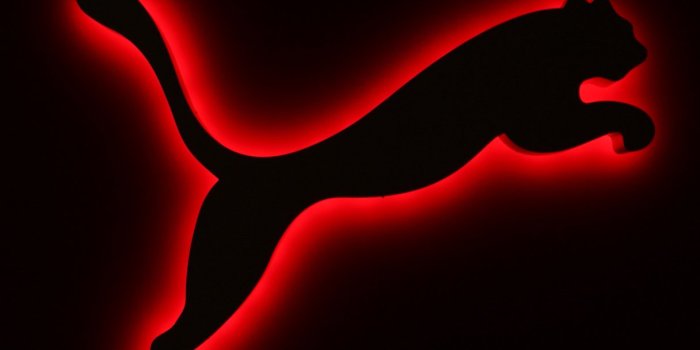 1216x922 Puma - Darkness (#1603314) - HD Wallpaper & Backgrounds Download