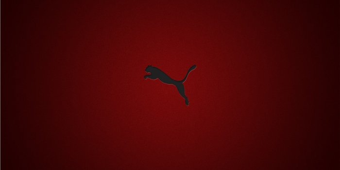 1920x1080 Puma Logo Wallpaper ·① WallpaperTag