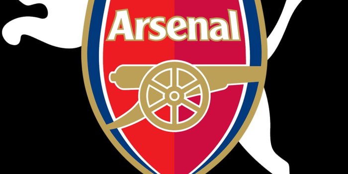 1080x1920 Arsenal Logo And Puma Wallpaper For Mobile - Arsenal Logo