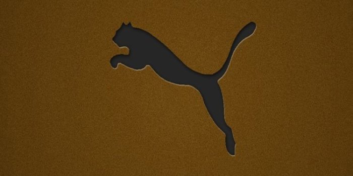 750x1334 Free download Puma Logo Wallpaper [750x1334] for your Desktop
