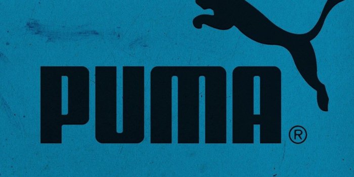 1024x768 Puma Logo Blue Wallpapers For Desktop Desktop Background
