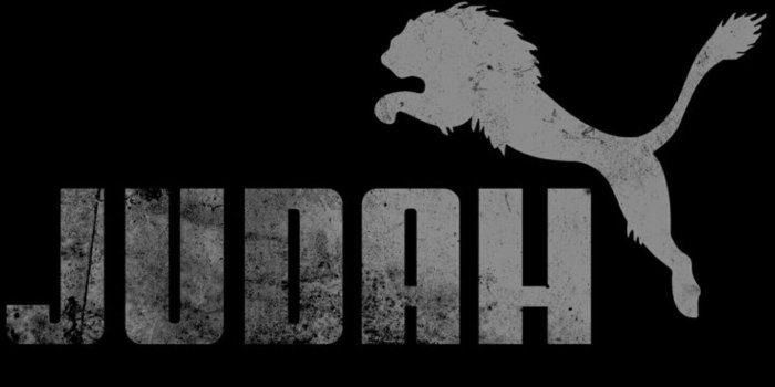 1439x2473 So Hebrew - Puma Logo But Lion (#1671471) - HD Wallpaper