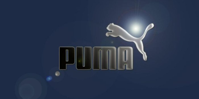 1024x819 Blue Puma Logo - LogoDix