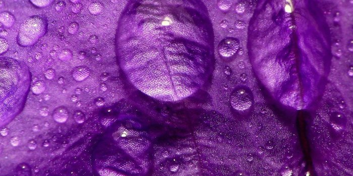 2048x2048 30 HD Purple iPad Wallpapers