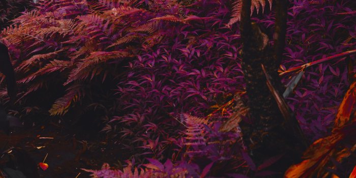 2706x4060 iPad Wallpapers: Free HD Download [500+ HQ] | Unsplash