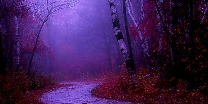 2048x2048 Best Purple iPad Wallpapers Free HD