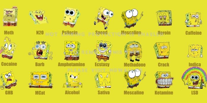 1664x792 Spongebob wallpaper application - cartoon animal iphone wallpaper