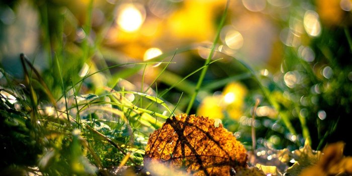 1920x1080 Super HD Wallpaper (71+ images)