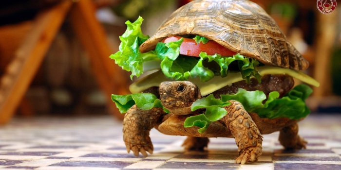 2560x1440 75+ Super HD wallpapers ·① Download free stunning High Resolution