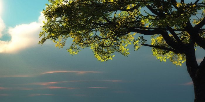 960x854 Nature Super Image Hd - 960x854 Wallpaper - Ecopetit.cat