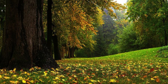 2560x1600 Best Abstract Wallpaper: Super Hd, 628627, Abstract