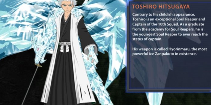 1200x896 Bleach: Soul Resurreccion Toshiro Bio and Artwork