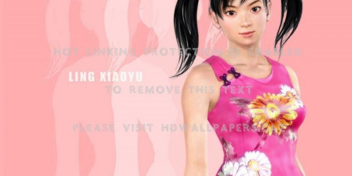 1280x960 tekken girl picture beautiful anime