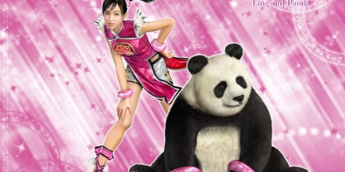 1024x768 fighter girl Tekken fighters – Video Games Tekken HD Desktop Wallpaper