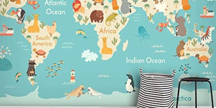 1000x1012 FSLUCKY Cartoon 3D Map World Animal Wallpaper Wallpaper Kids Room