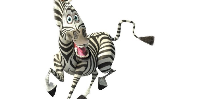 1280x960 Madagascar 3! Europe's Most Wanted 2012 | Desenhos, Festa