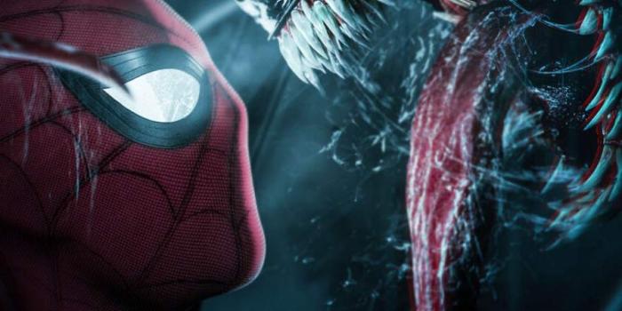 900x1600 Spiderman Iphone Mobile Wallpapers Image - Spiderman And Venom Fan