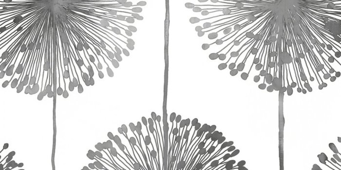 1000x1000 Muriva Dandelion Floral Wallpaper White Grey - Wallpaper from I
