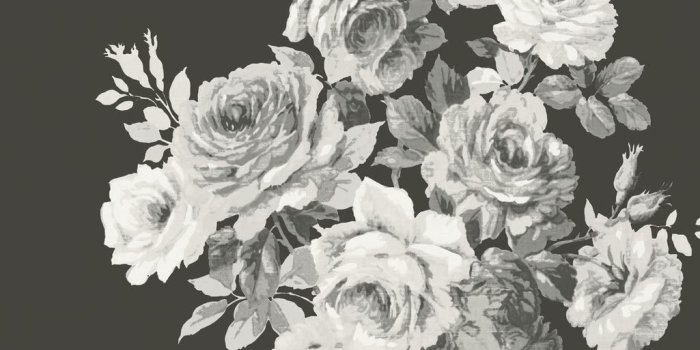 1025x1200 Amazon.com: ME1533 Black Grey Floral Tea Rose Magnolia Home