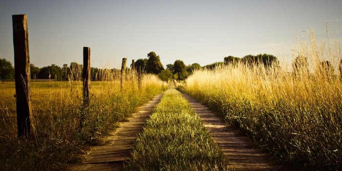 1920x1080 country-desktop-wallpapers | Field wallpaper, Summer wallpaper